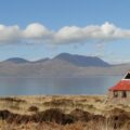 TOMS BOTHY cropped